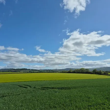 The White Horse فندق ثيرسك